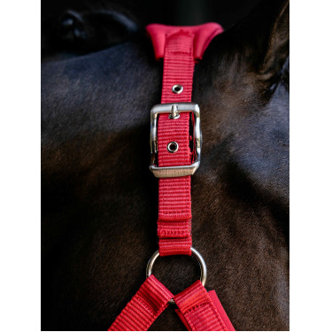 Capezza Vogue LeMieux staccabile Cile Rosso Capezza Vogue LeMieux staccabile Cile Rosso