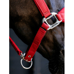 Capezza Vogue LeMieux staccabile Cile Rosso Capezza Vogue LeMieux staccabile Cile Rosso