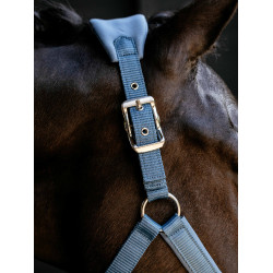 Capezza Vogue LeMieux staccabile Blu ghiaccio Capezza Vogue LeMieux staccabile Blu ghiaccio
