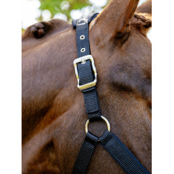 Capezza Vogue LeMieux staccabile Nero