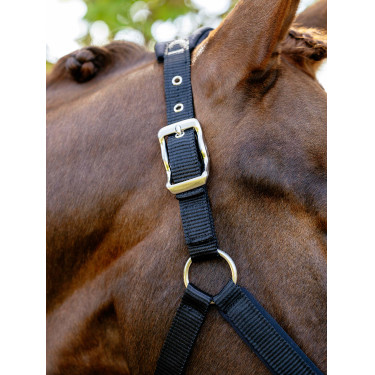 Capezza Vogue LeMieux staccabile Nero