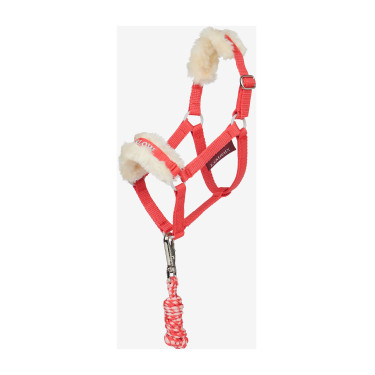 Longe e capestro Hobby Horse LeMieux Harlow Coral Crush Harlow coral crush