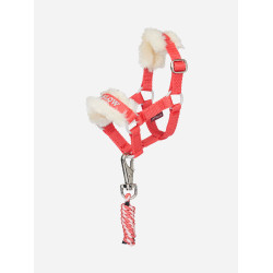 Lunga e cavezza per pony giocattolo Harlow Coral Crush Harlow coral crush Rosso