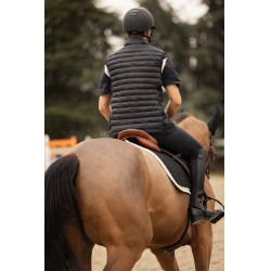 Gilet da equitazione senza maniche B Vertigo Simon ultraleggero imbottito da uomo Grigio antracite scuro