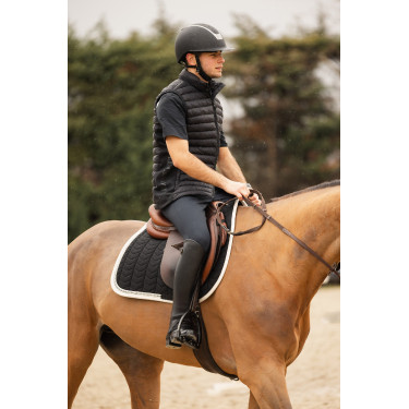 Gilet da equitazione senza maniche B Vertigo Simon ultraleggero imbottito da uomo Grigio antracite scuro