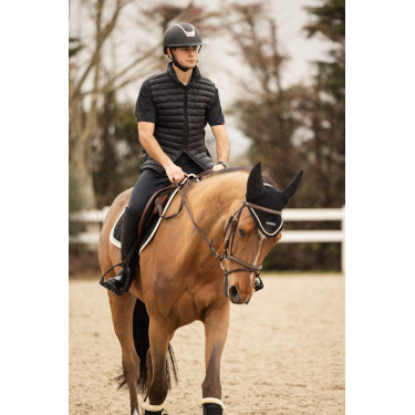Gilet da equitazione senza maniche B Vertigo Simon ultraleggero imbottito da uomo Grigio antracite scuro