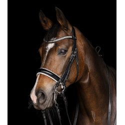 Briglia Waldhausen X-Line Evermore Nero