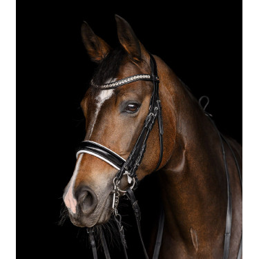 Briglia Waldhausen X-Line Evermore Nero