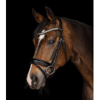 Briglia Evermore X-Line Waldhausen Nero / nero