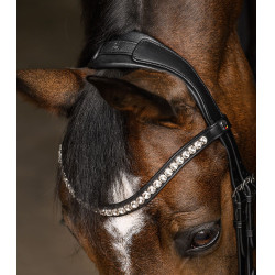 Briglia Evermore X-Line Waldhausen Nero / nero Briglia Evermore X-Line Waldhausen Nero / nero
