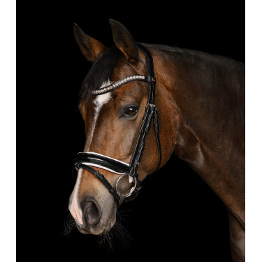 Briglia Evermore X-Line Waldhausen Nero / bianco
