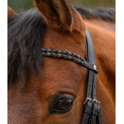 Frontalino Waldhausen X-Line Intrecciato Nero
