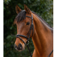 Frontalino Waldhausen X-Line Intrecciato Nero