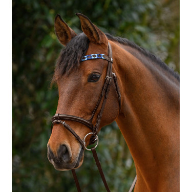 Fronte X-Line Polo marrone di Waldhausen Nero / beige