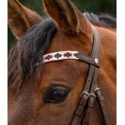 Fronte X-Line Polo marrone di Waldhausen Rosa / beige