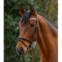 Fronte X-Line Polo marrone di Waldhausen Rosa / beige