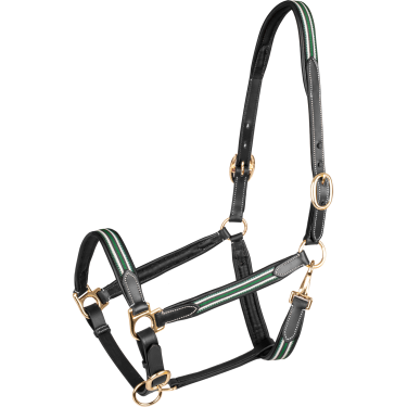Capezza in cuoio Oxford X-Line Waldhausen nera Verde