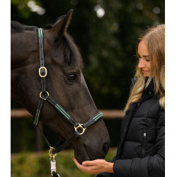 Capezza in cuoio Oxford X-Line Waldhausen nera Verde