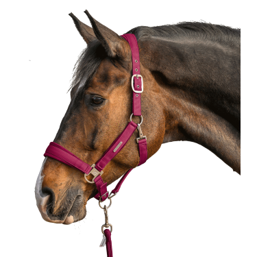 Capezza e lunghina Waldhausen Velvet Granata Rosa
