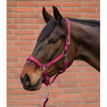 Capezza e lunghina Waldhausen Velvet Granata Rosa