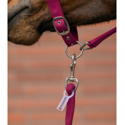 Capezza e lunghina Waldhausen Velvet Granata Rosa