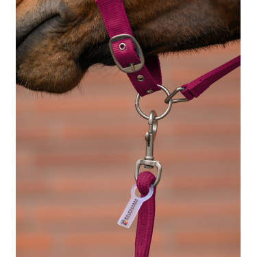 Capezza e lunghina Waldhausen Velvet Granata Rosa