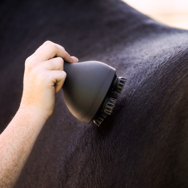 Massagegerät für Pferde Imperial Riding Volta Grooming & Relaxation Nero