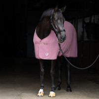 Coperta in pile Imperial Riding Fundamental Fico Viola