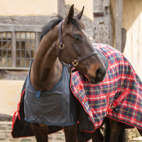 Bavetta anti-sfregamento in raso Shires Nero