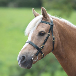 Briglia da presentazione liscia Shires Velociti Gara Nero Briglia da presentazione liscia Shires Velociti Gara Nero