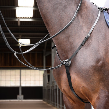 Pettorale Hunt Weight Shires Velociti Gara Nero
