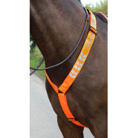 Collare da caccia Shires Equi-Flector® Arancione vivace