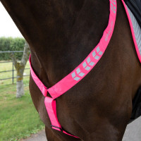 Collare da caccia Shires Equi-Flector® Rosa brillante