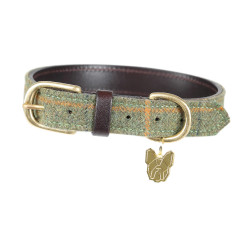 Collare per cane in tweed Shires Digby & Fox Quadretti rosso / giallo / blu Motivi