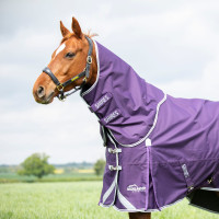 Copricollo da esterno Original 100 Shires Highlander Prugna Viola