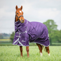 Copricollo da esterno Original 100 Shires Highlander Prugna Viola