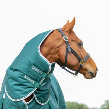 Copricollo da esterno Original 300 Shires Highlander Verde