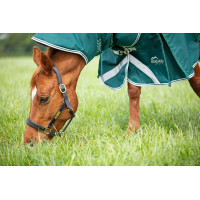 Copricollo da esterno Original 300 Shires Highlander Verde