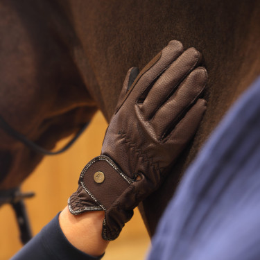 Guanti da equitazione Stadium Shires Aubrion Marrone
