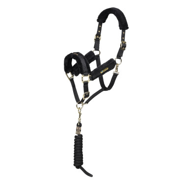 Capezza e lunghina con logo Shires Arma Nero