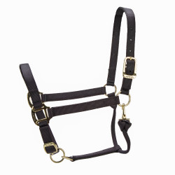 Capezza regolabile Premium Shires Arma Nero