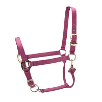 Capezza regolabile Premium Shires Arma Nero