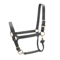 Capezza regolabile Premium Shires Arma Nero