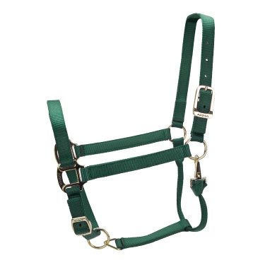 Capezza regolabile Premium Shires Arma Verde cacciatore Capezza regolabile Premium Shires Arma Verde cacciatore