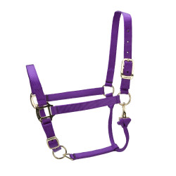 Capezza regolabile Premium Shires Arma Viola Capezza regolabile Premium Shires Arma Viola