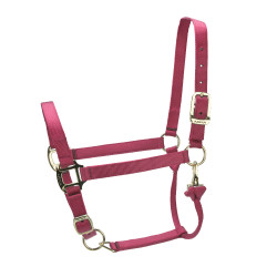 Capezza regolabile Premium Shires Arma Rosso Capezza regolabile Premium Shires Arma Rosso