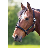 Capezza Shires Greenguard Nero Capezza Shires Greenguard Nero