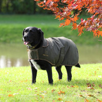 Cappotto cerato Shires Digby & Fox Oliva Verde