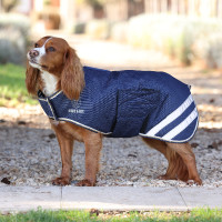 Cappotto impermeabile leggero per cane Shires Digby & Fox Marina Blu marino