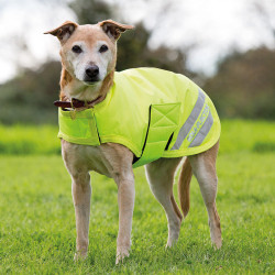 Cappotto per cane Shires Equi-Flector Equiflector giallo